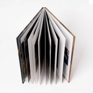 Personalize seu Fastbook com 20 a 100 páginas.