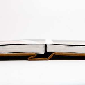 Gramatura de 800 g/m2 com o mínimo de 20 e máximo 100 páginas.