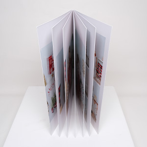 12 páginas somente.