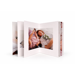 12 páginas somente.