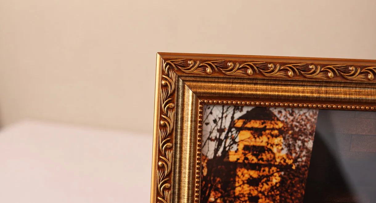 Galeria